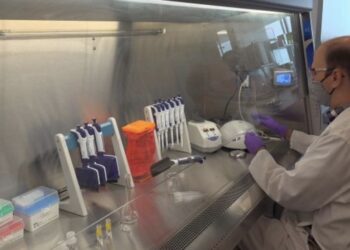 Vaksina anti-Covid mund të fillojë të shpërndahet brenda muajit dhjetor