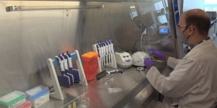 Vaksina anti-Covid mund të fillojë të shpërndahet brenda muajit dhjetor