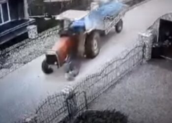 Pamje të rënda: Shkel qëllimisht qenin me traktor