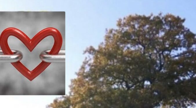 “Lisi i mrekullive” ndodhet në Kosovë: Kush e puthë tri herë e gjen fatin e jetës