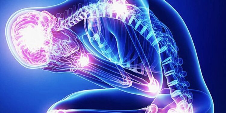 Çfarë i ndodh trurit kur jeni të stresuar, kështu ndikon në kujtesë dhe shëndet mendor