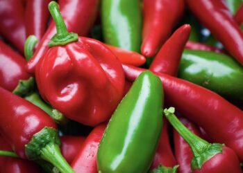 Njerëzit që hanë speca djegës mund të jetojnë më gjatë, thonë shkencëtarët