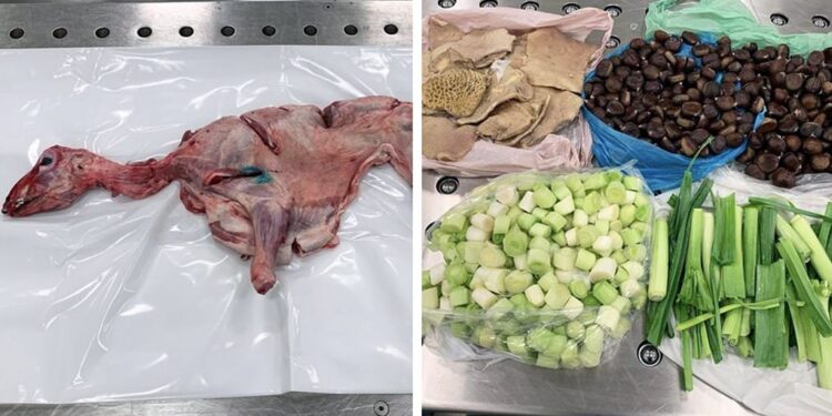 “Mish, plënc, presh”, doganierët amerikanë shtangen nga valixhja e shqiptarëve