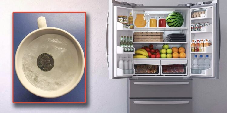Ja pse duhet të lini një monedhë në frigorifer sa herë dilni nga shtëpia