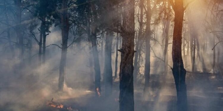 Paralajmërojnë shkencëtarët: Njerëzimi po vrapon drejt një të ardhme të tmerrshme