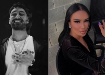 Parkoi makinën poshtë pallatit të Borës? Reagon Donaldi