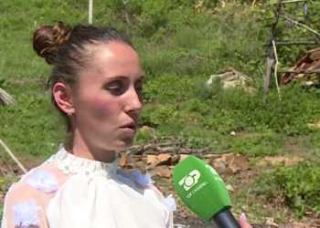 Flet nusja shqiptare që rrahu vjehrrin, vjehrrën, burrin dhe kunatin