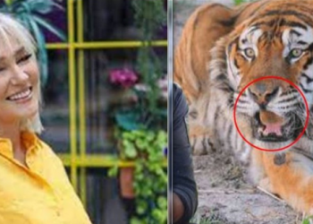 Drejtoresha Monika Lubonja na tregon arsyen pse tigri i Kopshtit Zoologjik s’paska dhëmbë