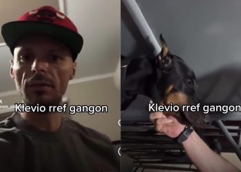 Bëri “LIVE” duke dhunuar qenin “gango”, Cllevio e pëson sërish