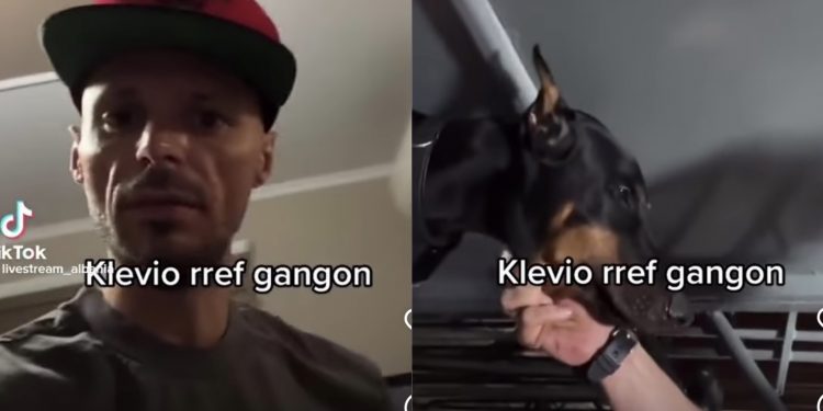 Bëri “LIVE” duke dhunuar qenin “gango”, Cllevio e pëson sërish