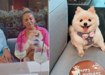 Qenushja e Beatrixës feston ditëlindjen, pamje nga festa me VIP-a