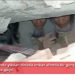 Çifti nën gërmadha, video prekëse nga tërmeti në Turqi