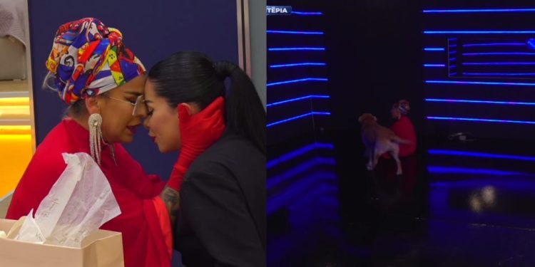 Ndodh edhe kjo, Valbona gëzohet më shumë që takoi qenin se sa vajzën e saj