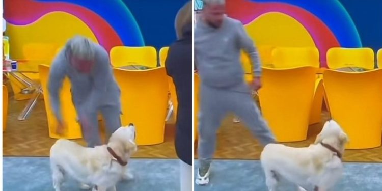 “Vëllai i Madh” fut brenda shtëpisë qenin e Oltës, i turret direkt Luizit