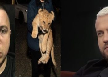 Luizi na habit fare! Qenka mik i ngushtë me Vis Martinajn? Tregon detajin që nuk e dinim