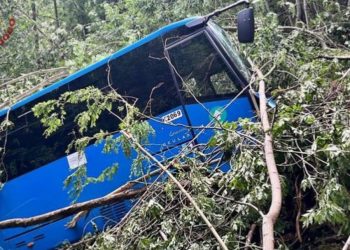 Aksident i rëndë në Itali, autobusi me 20 fëmijë bie në humnerë