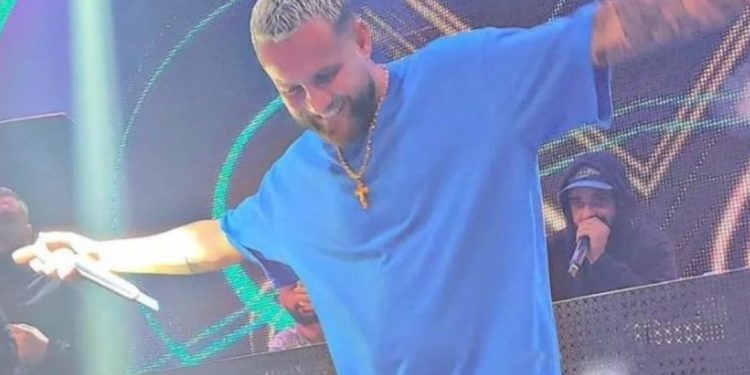 Luizin e ngacmon nje fanse në koncert, ky ishte reagimi i tij