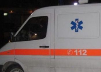 24-vjeçari mbyt nënën e tij në Përmet