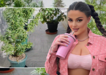 Enca nuk “zë mend” pas arrestimit: Qentë lehin, boçja rritet