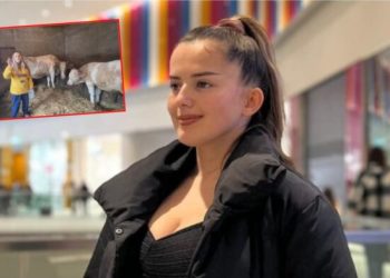 Malsorja e ndryshon profesionin, ja me çfarë merret tani