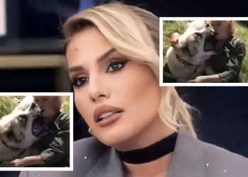 Bёhet publike video, kur qeni sulmoi Ilnisёn gjatё xhirimeve (VIDEO)