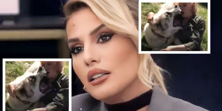 Bёhet publike video, kur qeni sulmoi Ilnisёn gjatё xhirimeve (VIDEO)