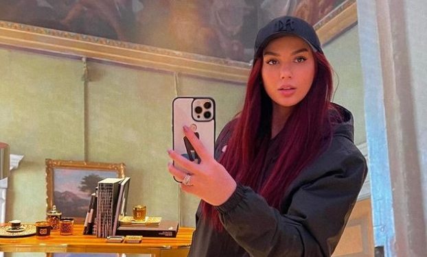 Bora ka shtuar paksa peshë këto kohë, mos vallë po i bëhet Arborit një vëlla apo motër?