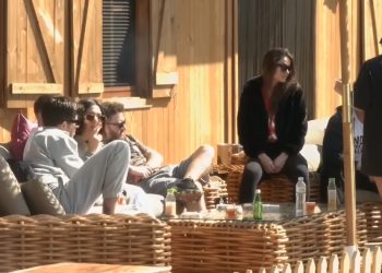 Fermerët u vendosin emra kafshëve/ Emri që i vendosin maces do iu shkrijë së qeshuri!