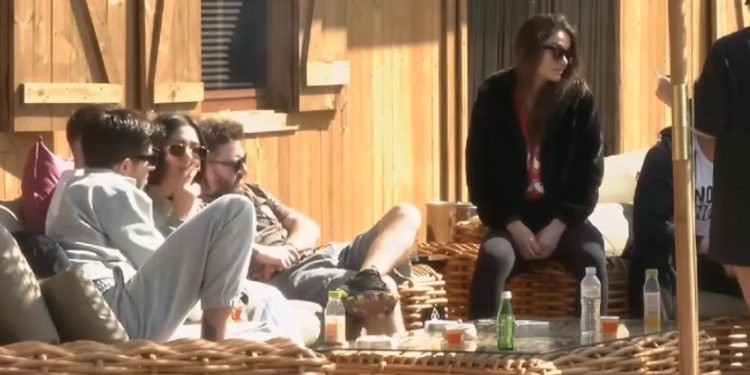 Fermerët u vendosin emra kafshëve/ Emri që i vendosin maces do iu shkrijë së qeshuri!