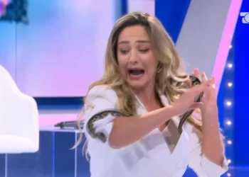 E papritur në studio, akrobatja i vendos Bieta Sulos gjarpërin mbi kokë