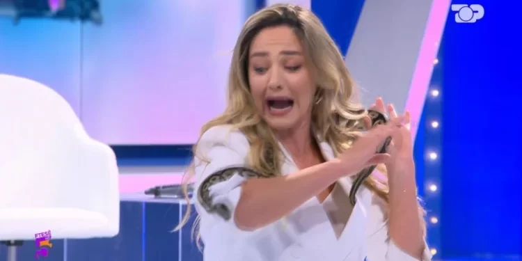 E papritur në studio, akrobatja i vendos Bieta Sulos gjarpërin mbi kokë