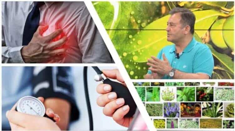 Mjeku popullor, Ylli Merja: Si mund t’i parandalojmë dhe shërojmë problemet  e zemres përmes bimëve medicinale