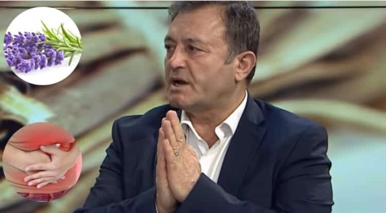 Gjendet lehtësisht në Malësinë e Madhe, Ylli Merja tregon bimën kurative që ju shpëton nga infeksionet urinare