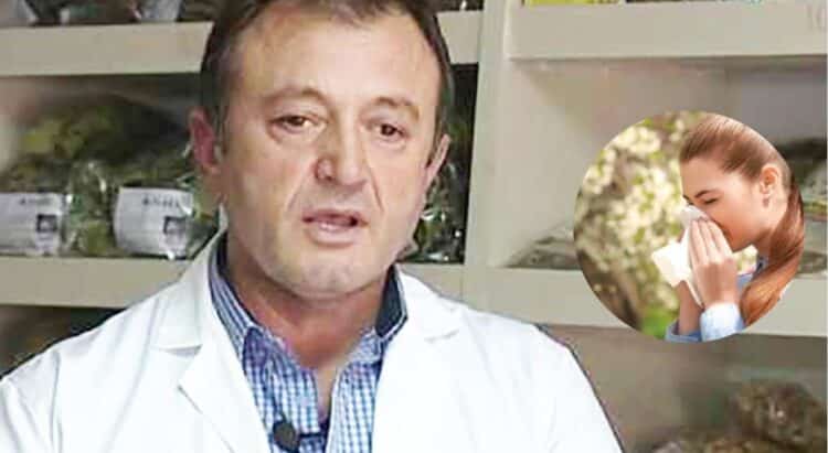Alergjitë e stinës, si të trajtohen përmes bimëve mjekësore! Specialisti Ylli Merja jep këto këshilla efikase