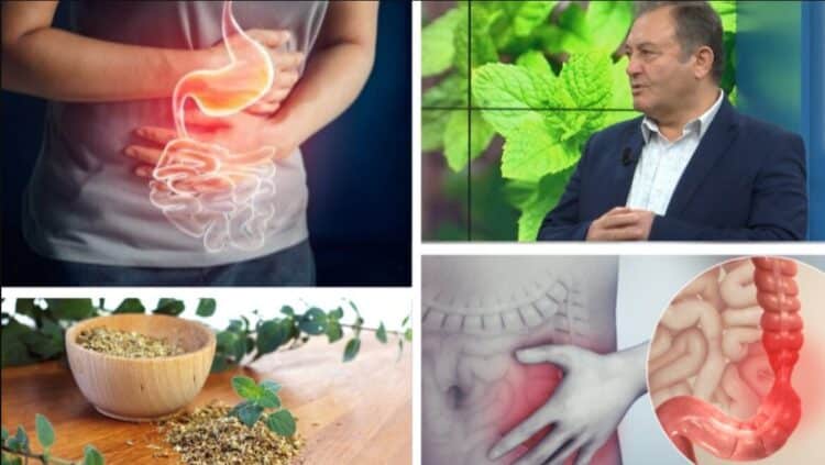 Specialisti Ylli Merja: Konsiderohen ilaç për çdo sëmundje, ja farat ‘magjike’ që nuk duhet t’i ndani nga dieta ushqimore