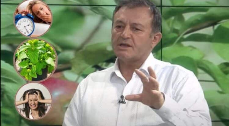 Ylli Merja : Si të përdorni barin e bletës kundër pagjumësisë, ankthit dhe stresit me…