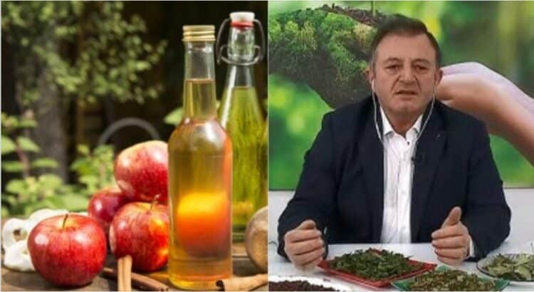 Uthulla e mollës së egër, Ylli Merja: Ilaçi natyral për organizmin tonë, ja si ta përgatisni vetë në kushte shtëpie