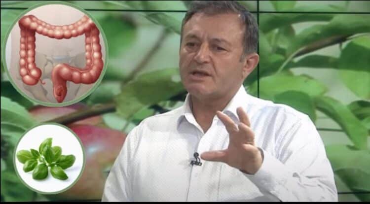 Specialisti Ylli Merja : Zorra e trashë ‘truri i dytë’, një nga shkaktarët kryesorë të sëmundjeve nervore, ja si ta kuroni me bimë medicinale