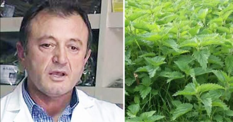 ‘Mbretëresha e bimëve’, Ylli Merja: Mos iu ndani hithrës, ja çfarë mund të përfitoni prej saj…