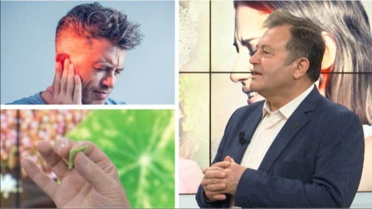 Sëmundjet e veshit të mesëm, simptomat, pasojat dhe ndërlikimet shëndetësore. Trajtimi me bimë mjekësore sipas Ylli Merjas