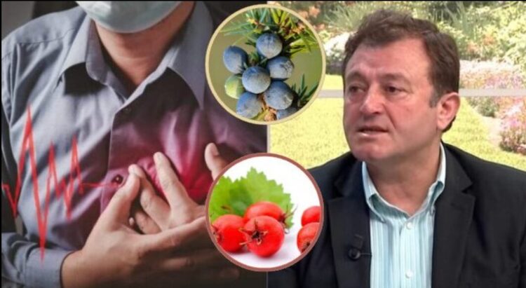 Shpëtoni zemrën tuaj nga sëmundjet! Ylli Merja: Ja perimet, frutat dhe bimët që shërojnë zemrën