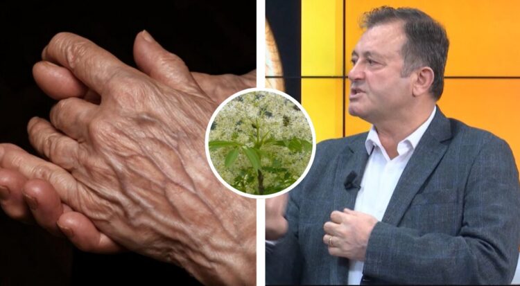 Kur lëkura paralajmëron sëmundje…Sklerodermia, sëmundja që plak para kohe / Ylli Merja tregon bimet qe ju duhen per…