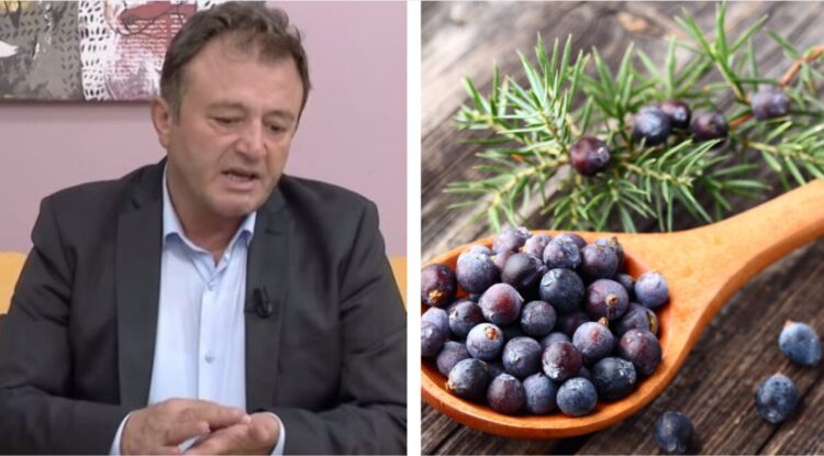 Ylli Merja: Ja si të kuroni spondiliartrozën me çaj dëllinje. “Këshillat për…