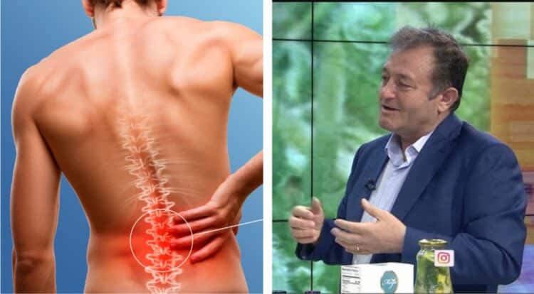 Ylli Merja: Si të kuroni hernien diskale me farën e sinapit të zi: Për disa persona që ndoshta nuk kanë…