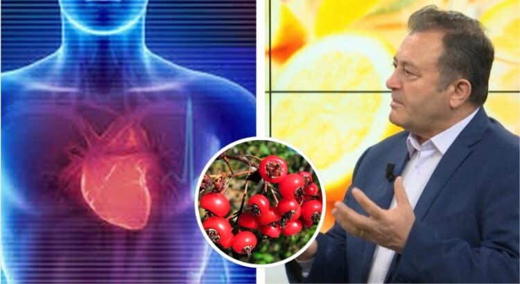 Ylli Merja: Si të luftoni aritminë e zemrës me bimë medicinale: Në të gjitha ato raste kur pacienti…