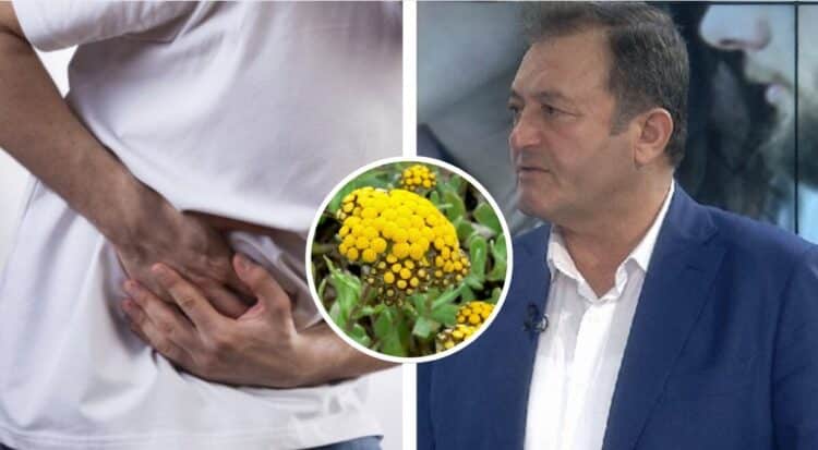 Si të shkrini gurët në tëmth me bimët mjekësore: Ylli Merja ju tregon zgjidhjen me…