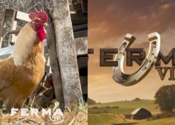 Konfirmohet sezoni i dytë i “Ferma VIP”, cilët janë konkurrentët?