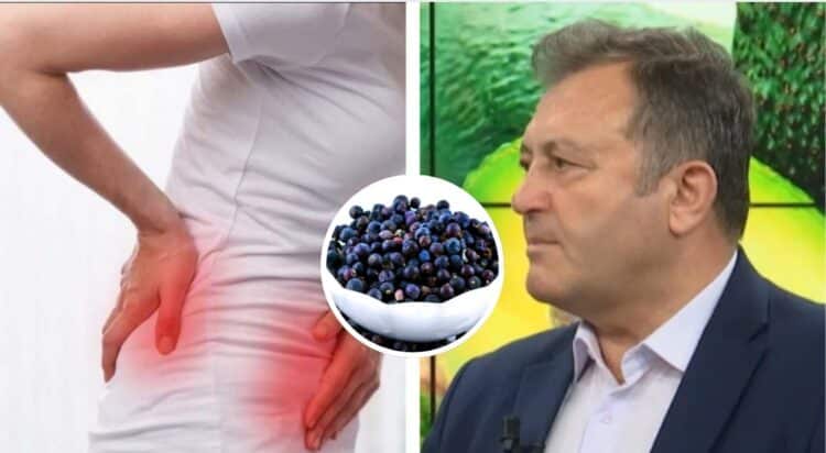 Ylli Merja: Infeksionet në veshka, si t’i kuroni me dëllinjën e zezë: Përdoret 1 lugë gjelle me…