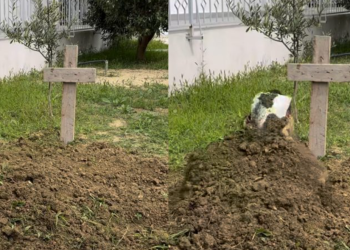 I ndodh e papritura agjentit imobilar pasi u “varros” për disa klikime (Foto)