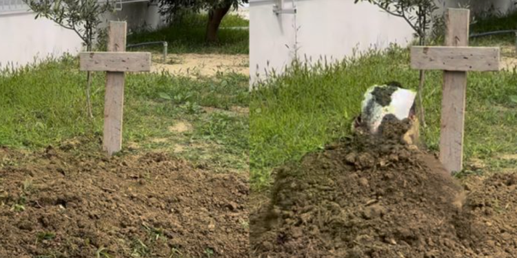 I ndodh e papritura agjentit imobilar pasi u “varros” për disa klikime (Foto)